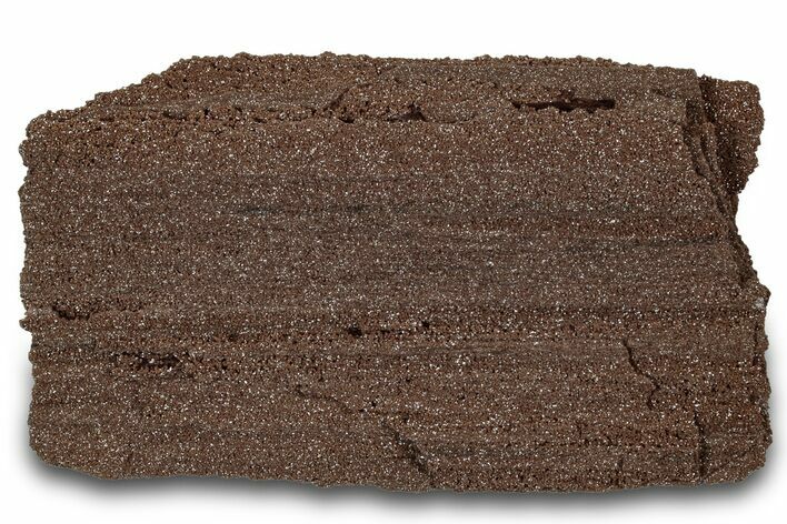 Permineralized Wood Covered In Sparkling Quartz - Germany #306966